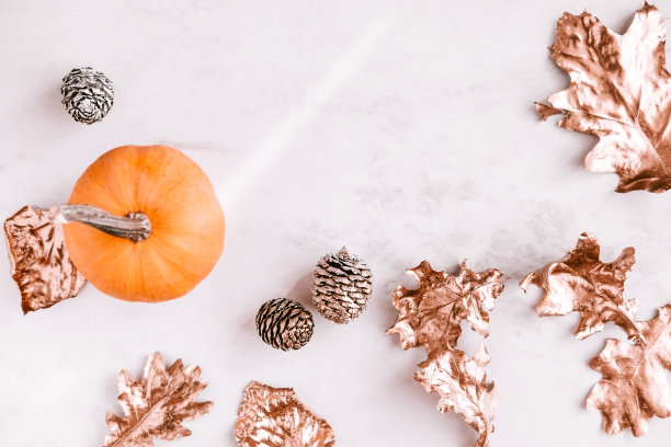 白色大理石上的南瓜，秋季静物画图片下载