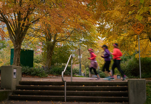 秋天的运行图片下载