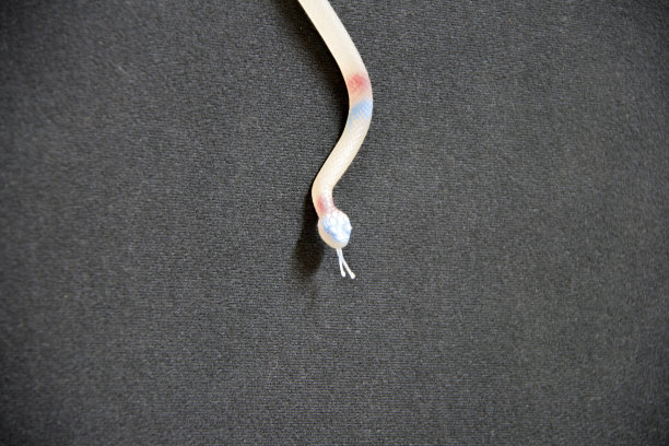 橡胶蛇在黑色织物上。图片下载