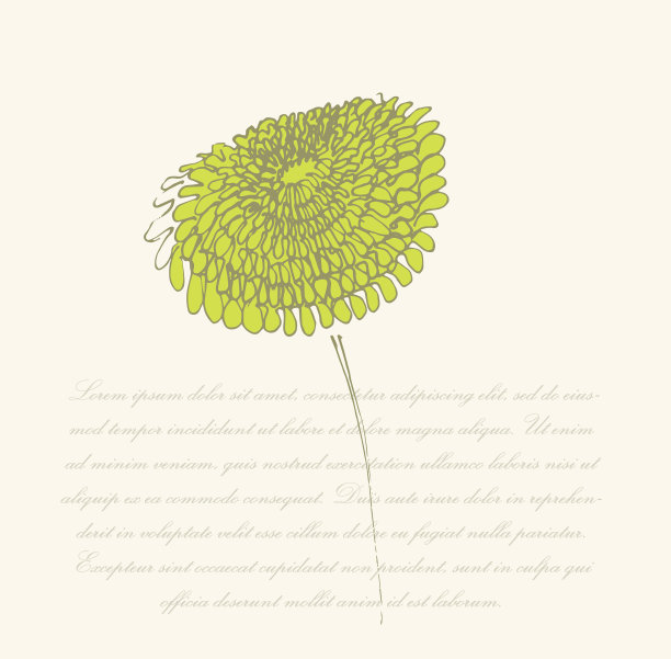 草地上的花图片下载