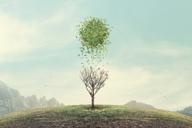 超现实概念的春天的太阳素材图片