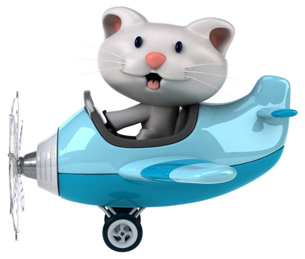 有趣的猫图片下载