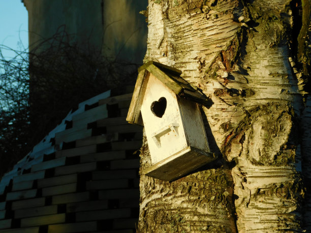 另一个家图片下载