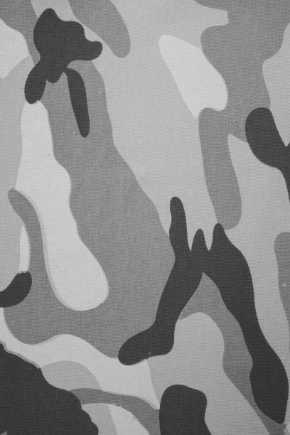 背景伪装纹理。图片下载