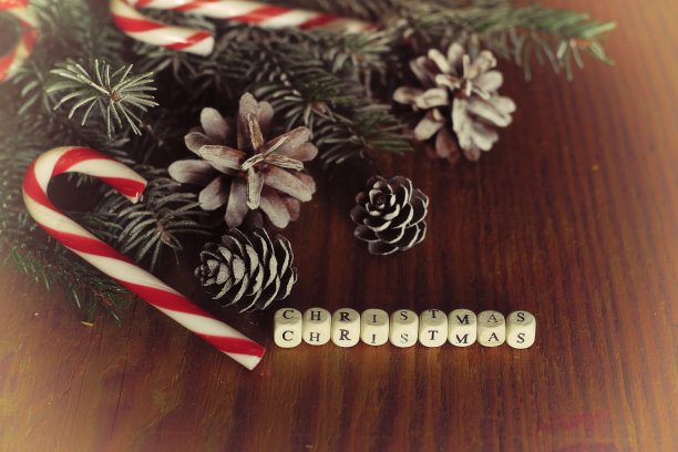 圣诞松果的树枝图片下载