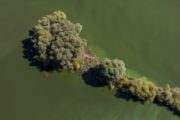 绿色湖泊的鸟瞰图图片下载