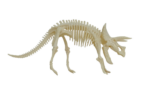 恐龙骨骼化石图片下载
