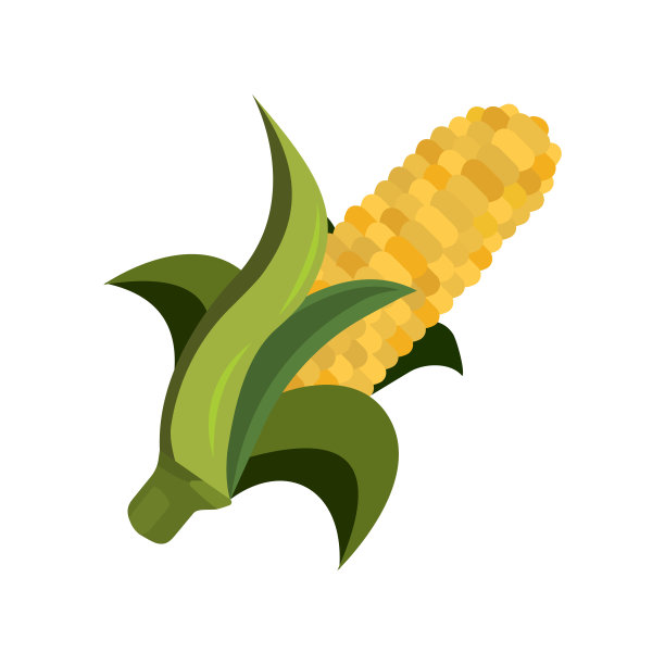 玉米图标。卡通风格。感恩节矢量插图图片下载