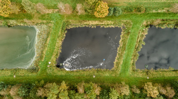 用于养鱼的植物，从空中垂直拍摄图片下载