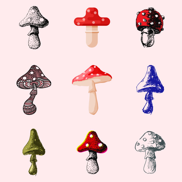 鹅膏蝇木耳伞菌不同艺术风格的蘑菇设计矢量插图红帽子素材图片