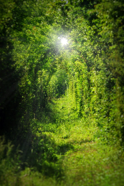 从卡兰塞贝斯来的爱情隧道图片下载