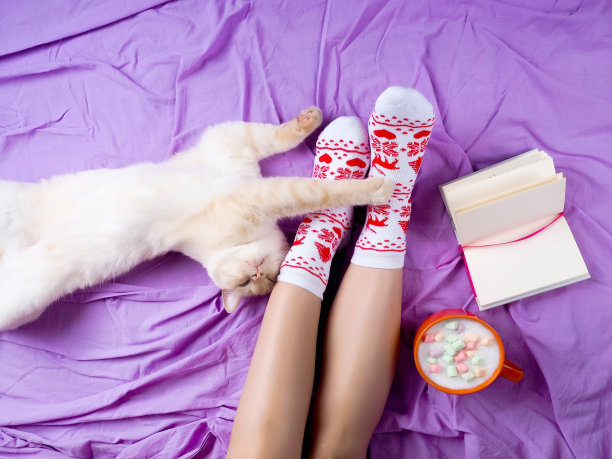 软照片的女人在床上的笔记本，一杯咖啡，顶部的观点。女人的腿在温暖的羊毛袜子。图片下载