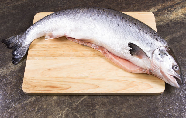 一整条生的生鲑鱼图片下载