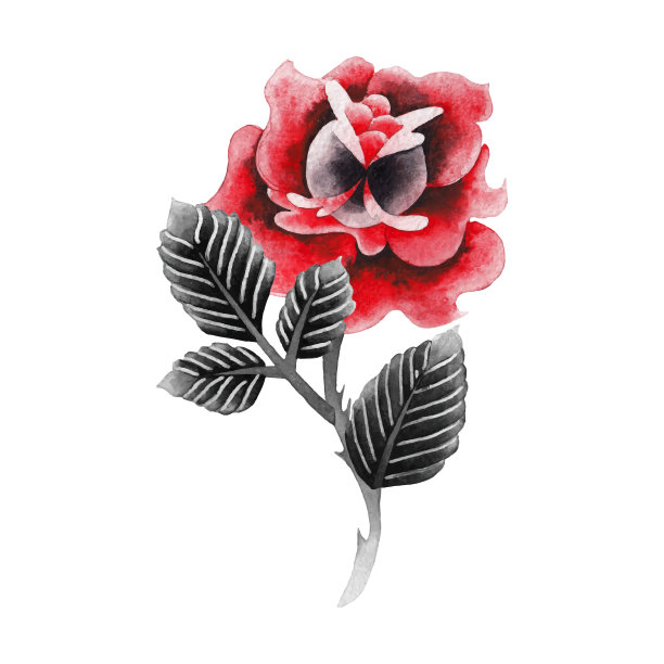 •1/2]3/42]1/2 2 2 GB素材图片