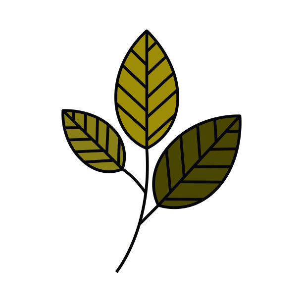 树枝与树叶孤立的图标设计图片下载