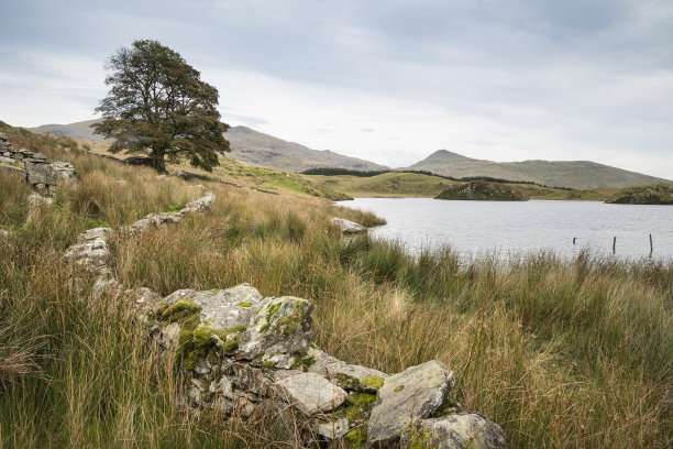 斯诺登尼亚国家公园秋天里的丽林和德沃兴湖的傍晚风景图片图片下载