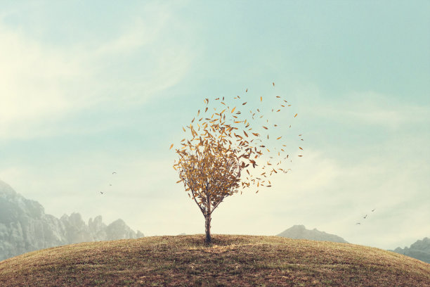 超现实的秋叶图片下载