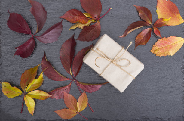 秋季自制礼品装饰理念图片下载