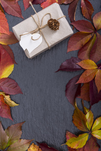 秋季自制礼品装饰理念图片下载