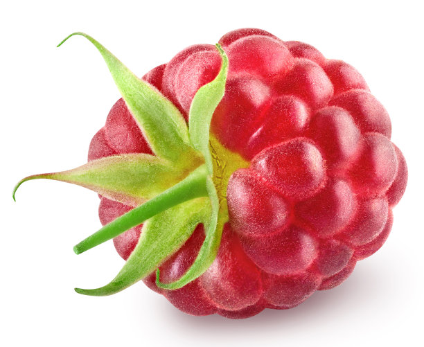 带茎的新鲜成熟覆盆子图片下载