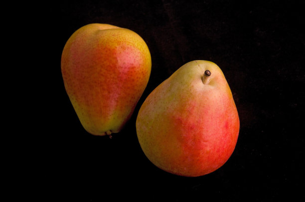 梨子、红梨、黑梨是梨的新品种。图片下载