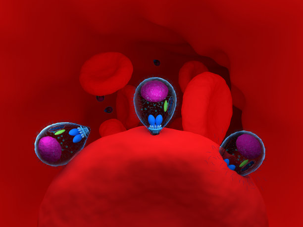 疟原虫图片下载