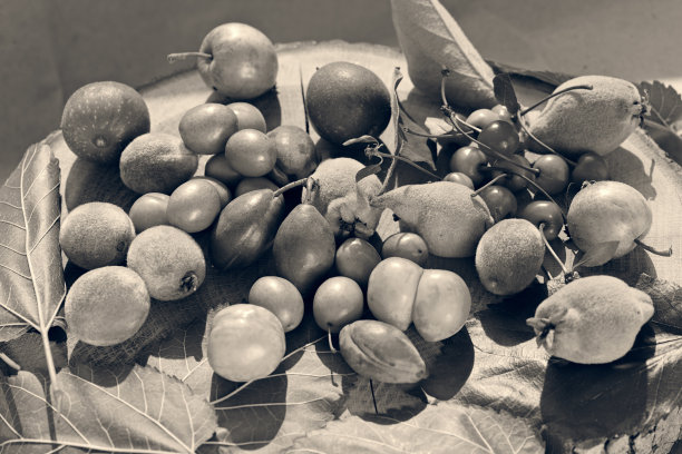 未熟的水果图片下载