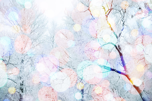 冬天的大自然和圣诞节的灯光素材图片