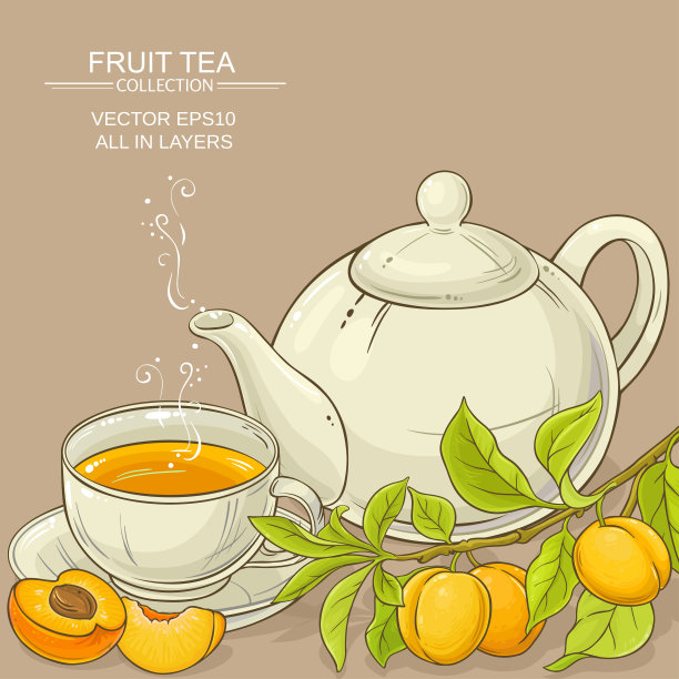杏茶插图素材图片