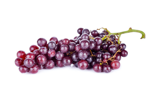 鲜葡萄与茎白色背景图片下载