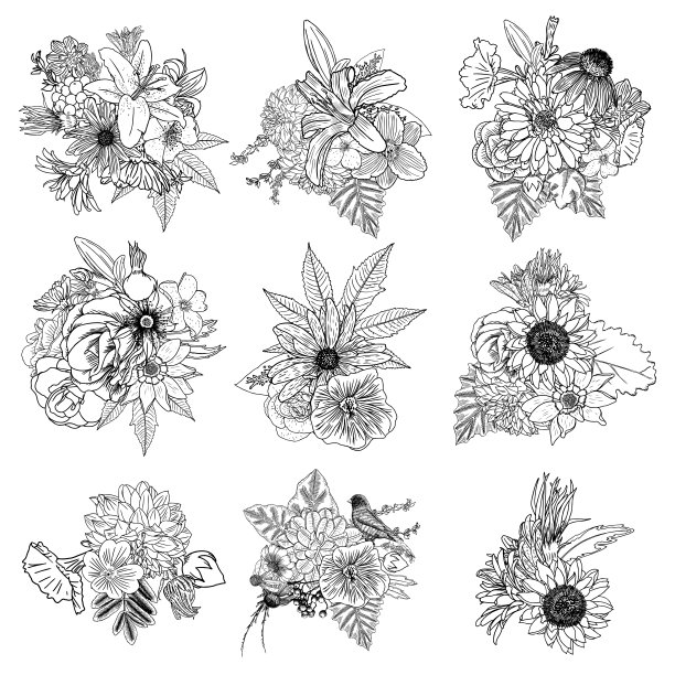花。一套9束。用各种植物收集花。罂粟，玫瑰，向日葵，紫菀，洋甘菊。用于婚礼和妇女节贺卡的设计目的。手绘插图，矢量。图片下载