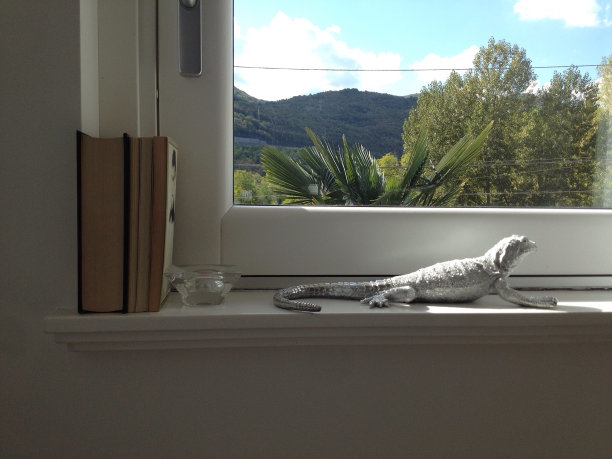 窗户里的蜥蜴图片下载