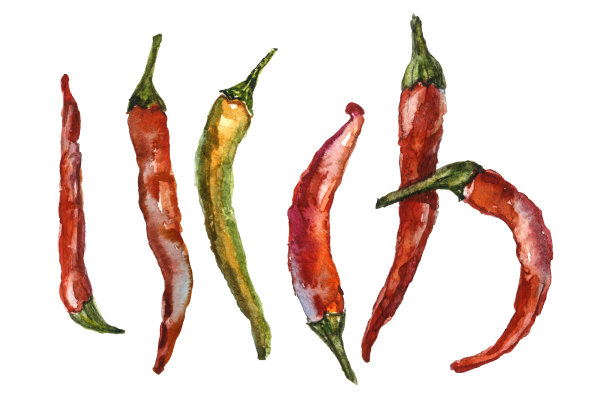 手绘水彩胡椒套装素材图片