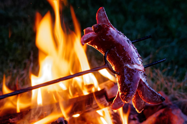 德国香肠，金属串，晚上在火上烤。图片下载