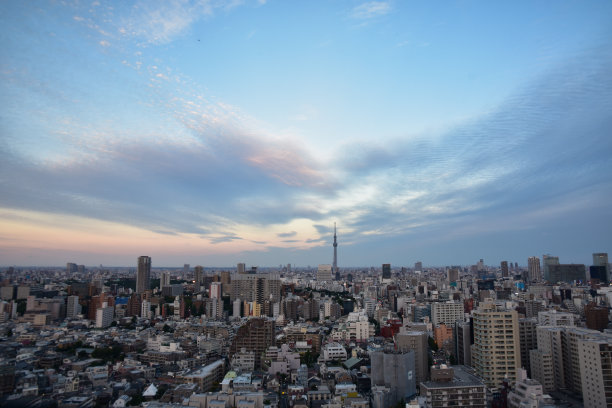 东京的日落图片下载