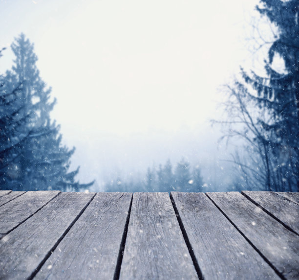 从家里的庭院看冬天图片下载