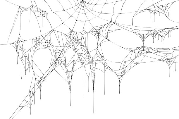 白色背景上的黑色大蜘蛛网图片下载