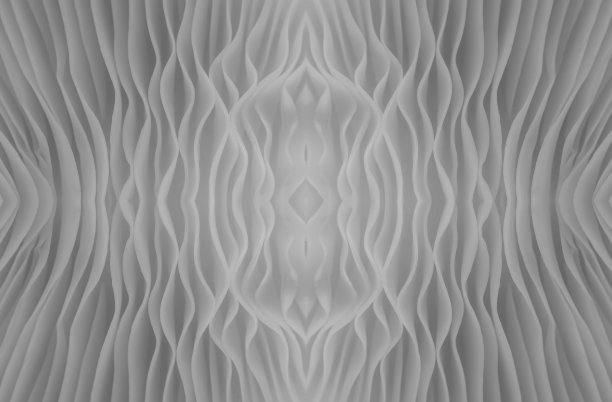 sajori -caju蘑菇的抽象背景宏图像。图片下载