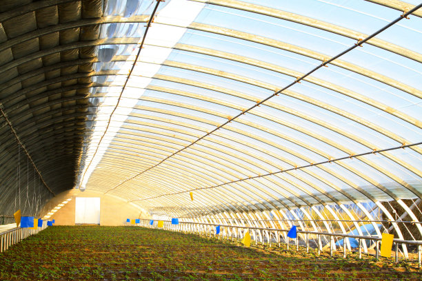 温室金属框架在一个农场，特写照片图片下载