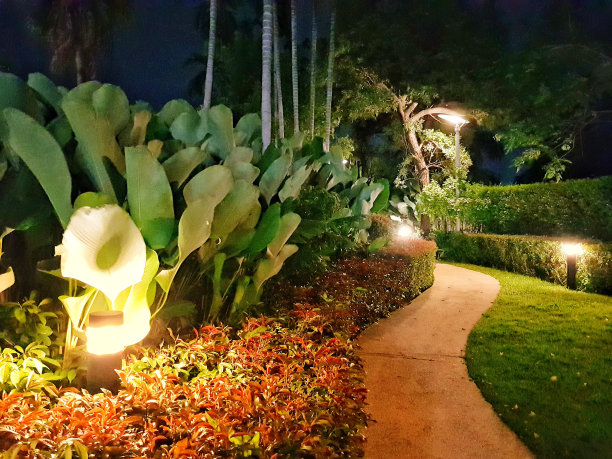 公园晚上有灯光图片下载