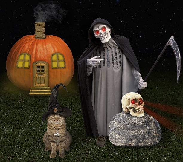万圣节猫和死神图片下载