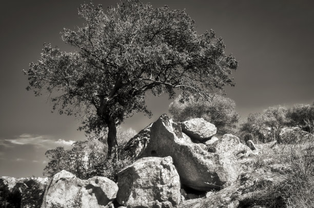 科西嘉岛黑白侵蚀花岗岩图片下载