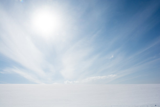 的字段图片下载