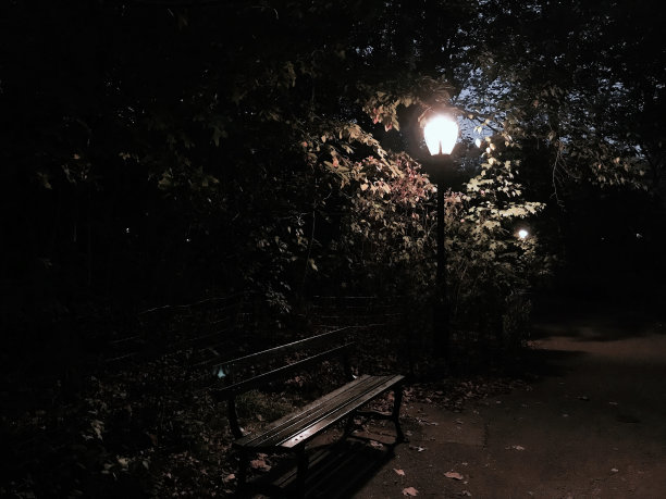 中央公园的灯光图片下载