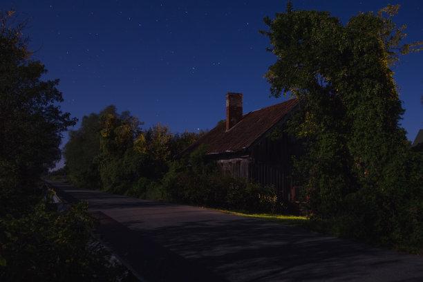 树林中的村舍在夜晚吹着喇叭图片下载