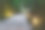 草坪图片素材ID：311781804
