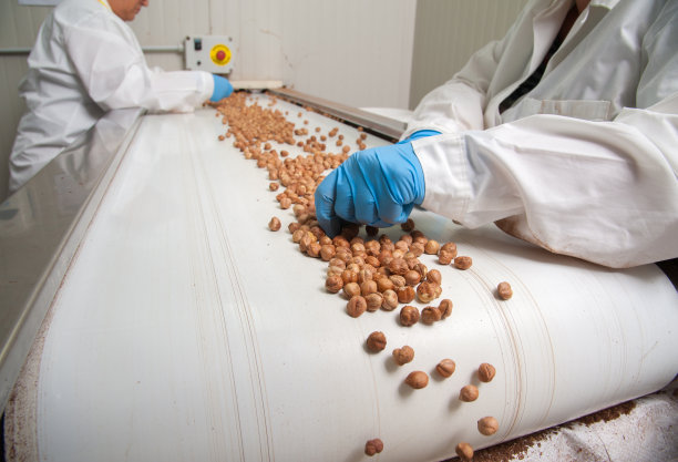 榛子的加工图片下载