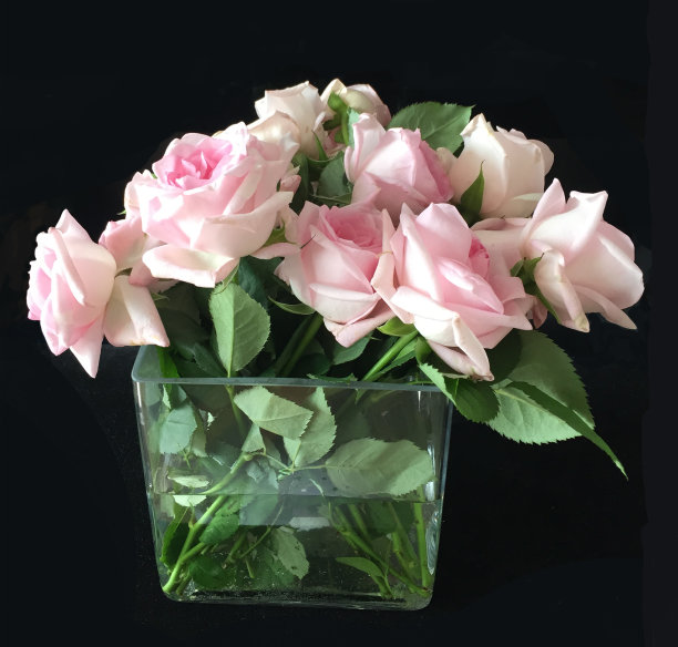 花瓶和玫瑰花束图片下载