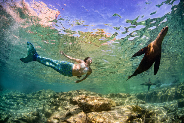 美人鱼和一只海豹在深蓝色的海里游泳图片下载