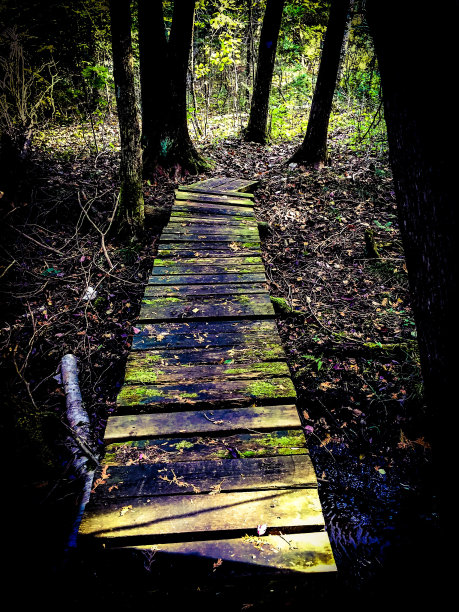 林间小路图片下载